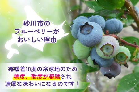 〈先行予約〉 生食 ブルーベリー 1kg [ノーザン・ベリーズ 北海道 砂川市 12260529]