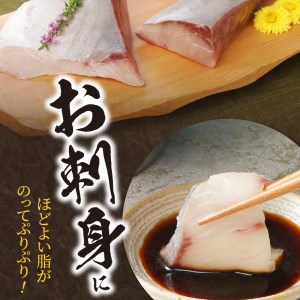 数量限定日向灘ぶり(はまち)うまみ極点製法食べきりﾊﾟｯｸ300g N124-YZA3304