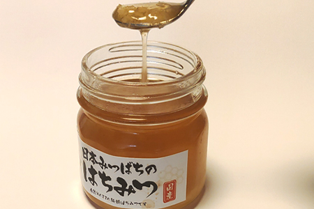 日本ミツバチの純粋はちみつ 240g×2個 (合計480g) 瓶 自然 蜜