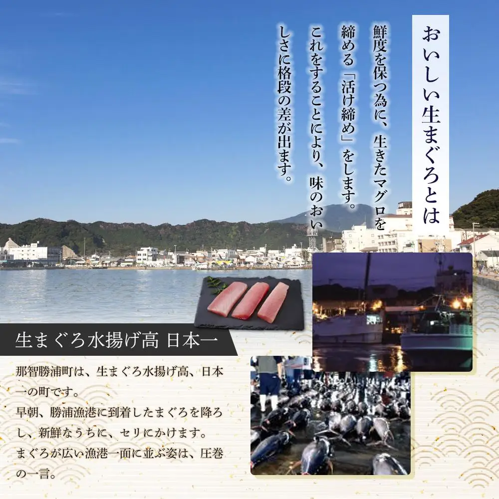 特選 生びんちょうまぐろ お刺身用サク 約400グラム まぐろ