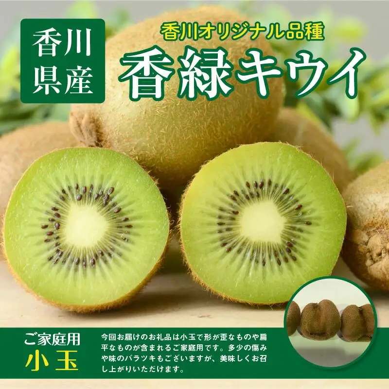 訳あり ご家庭用 香緑キウイ(小玉) 約3kg【2026-11月下旬～2027-3月下旬配送】