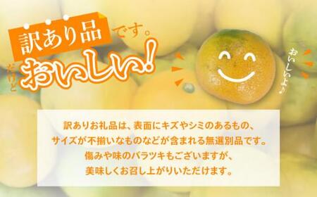 【訳あり】太陽たっぷり浴びた　瀬戸内温州みかん　約5kg【2025-10月上旬～2026-1月中旬配送】 | みかん