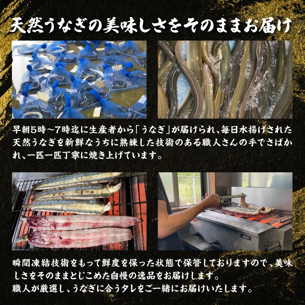 熊本県八代市産 天然うなぎ 白焼 (中) 2尾 合計300g前後 蒲焼のたれ付き 鰻 国産 蒲焼 ウナギ うなぎ 丑の日 冬が旬 冷凍 熊本県 八代市