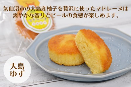【和菓子職人が作る】気仙沼マドレーヌ 2種10個 [菓匠 紅梅 宮城県 気仙沼市 20563591]
