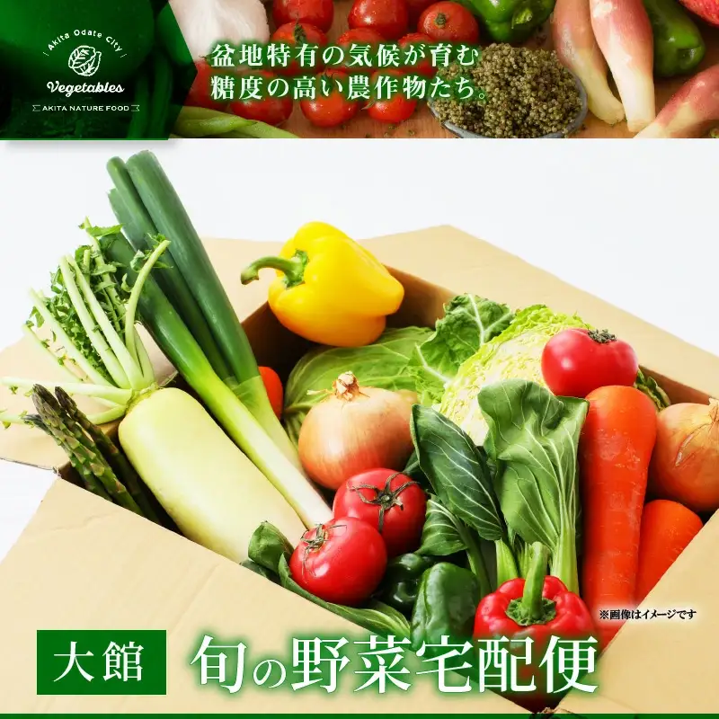 60P3205 旬の野菜宅配便