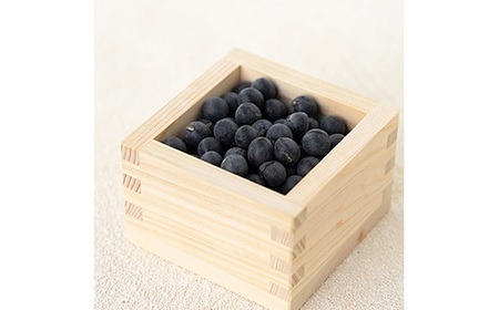 丹波篠山産 黒大豆 （大サイズ 300g×2袋） 黒豆 黒大豆  AQ11