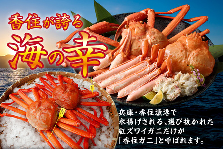 高評価☆4.6 香住ガニ 約600g×2匹（約1.2kg以上） 07-01 ☆