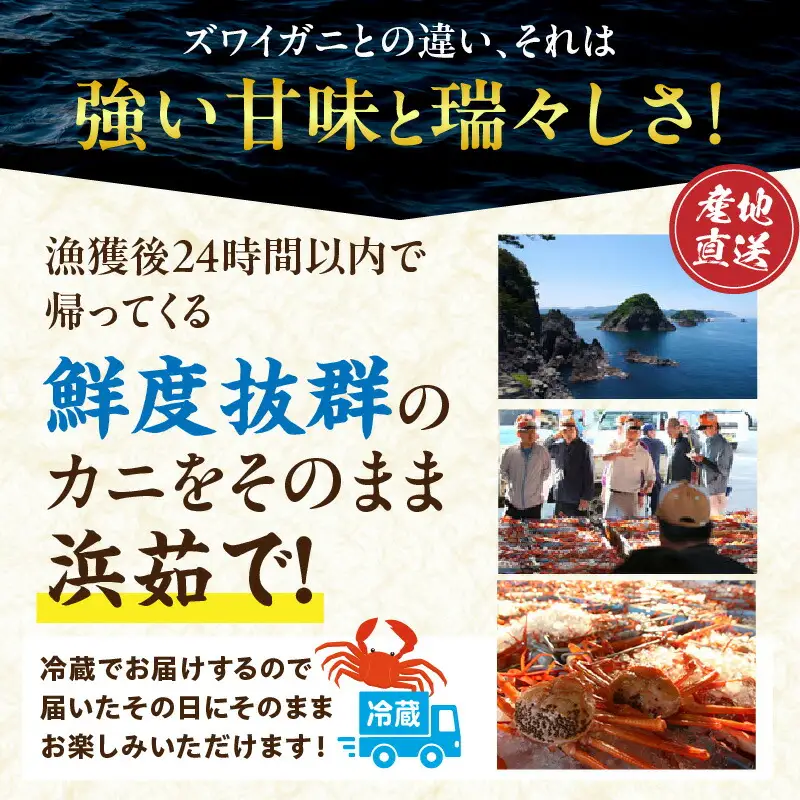 高評価☆4.8 香住ガニ むき身 セット 合計1kg【令和8年9月中旬以降発送予定】かに カニ 11-01