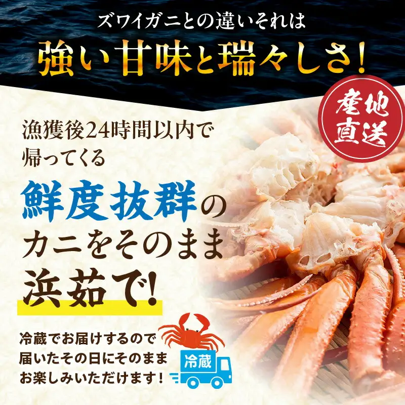 香住ガニ 大 タグ付き ボイル 茹で 約700g×2杯【令和8年9月中旬以降発送予定】カニ かに 11-04