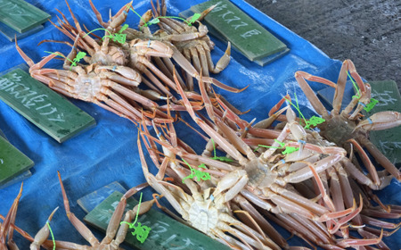 【先行予約】 松葉がに 最高グレード 香住産 タグ付き 釜茹で 約1.0kg 冷凍 【令和8年11月中旬以降発送予定】 かに カニ 07-07