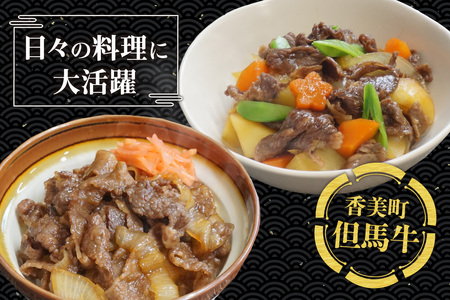 但馬牛 切り落とし 500g 冷凍 牛肉  02-02