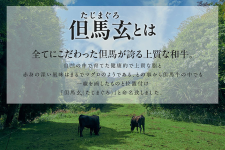 但馬牛 但馬玄 サーロイン ステーキ 1kg 冷凍 TVで紹介 牛肉 01-09