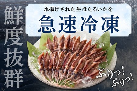 訳あり ほたるいか 1.5kg ホタルイカ 07-02