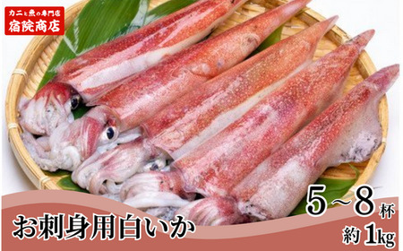 【兵庫県香住産 白いか 剣先いか お刺身用 新鮮 5～8杯 約1kg 冷凍】【令和8年6月下旬以降発送予定】 兵庫県 宿院商店 33-07
