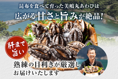 活あわび 8cm×4枚 280～320g (1個70～80g）あわび アワビ 20-01