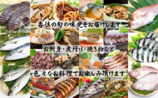 香住の朝獲れ地魚セット 期間限定 4～5種類詰め合わせ 1.5kg～2kg程度 33-11