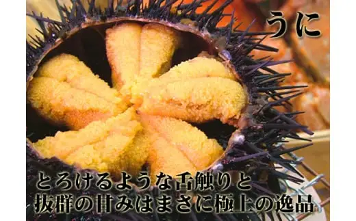 函館朝市　弥生水産　塩水ウニ・自家製いくら醤油漬の無添加セット_HD032-044