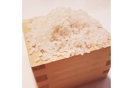【令和7年度産】《新米》大和米　奈良県広陵町産ヒノヒカリ　七分づき米5kg／ひのひかり