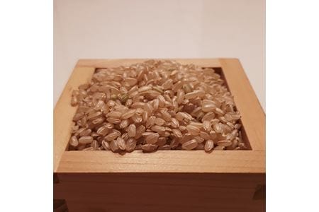 【令和7年度産】《新米》色彩選別加工済大和米 奈良県広陵町ヒノヒカリ玄米20kg /// ひのひかり ヒノヒカリ ブランド米 玄米 ご飯 お米 大和米 おにぎり おむすび 安心 安全 美味しい 人気 直送 奈良県 広陵町
