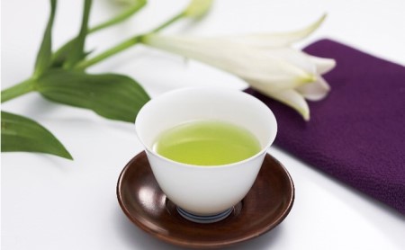 京田辺玉露「藤乃露」と玉露用白磁茶器セット お茶 緑茶 雑貨 日用品 