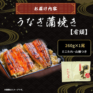 うなぎ蒲焼き （260gx1本） うなぎ たれ付き 国産鰻 ／Esu-40
