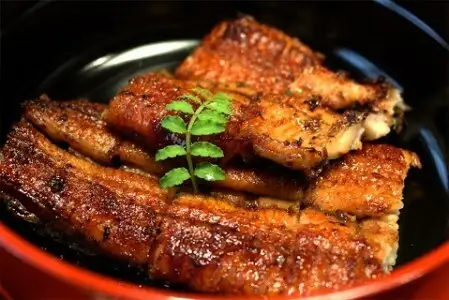 【通常発送】【期間限定】三河産うなぎ 蒲焼冷凍＜超特大＞3尾（合計580ｇ～600ｇ）「生産者愛知養魚」がお届け うなぎ 蒲焼き 鰻 ウナギ 国産うなぎ 愛知県 西尾市 大きいうなぎ 丑の日 土用の丑の日・A091-25-1