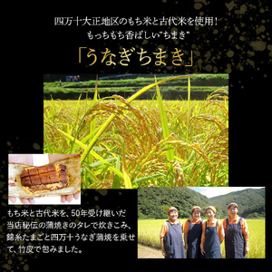うなぎ ちまき3袋セット チマキ 国産 中華 四万十 鰻 冷凍 長期保存 ／Esu-78