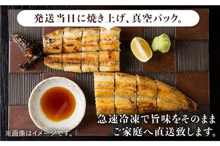 ふっくらジューシーのこだわりうなぎ【12回定期便】国産うなぎ蒲焼 6枚セット×12回[FAD016]