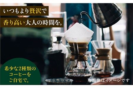 【12回定期便】ジャコウネココーヒー100g&ウイスキー樽熟成コーヒーセット100g≪粉タイプ≫×12回【ラオジャパン合同会社】 [FBR052]