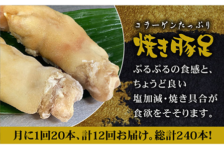 ≪地元人気店の味≫とろけるとんそく【12回定期便】国産焼き豚足たっぷり20本セット×12回【やきとり紋次郎】 [FCJ027]