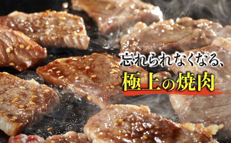 佐賀牛希少部位 おまかせ9種堪能セット1800g 合計1.8kg （9種×200g）焼肉 セット [FAY042]