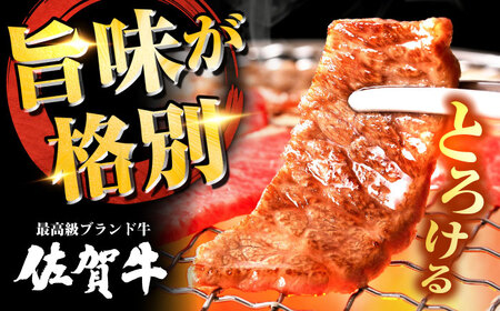 黒毛和牛 佐賀牛 焼肉用 カルビ600g 約3?4人前 焼肉 やきにく[FAY048]