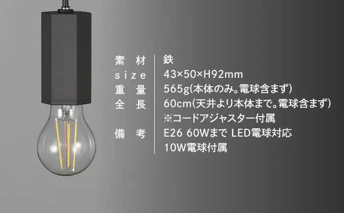 CTSH LIGHT. ペンダントライト＜HEXAGONパーカーライジング E26＞ 瑞浪市 / ジオニック 照明器具 ソケット 鉄 ブラック [AZBQ100]