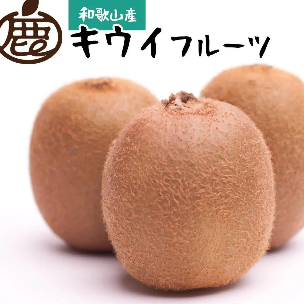 ［先行予約］厳選 キウイ1kg+250g（傷み補償分）【扁平果】［IKE106］