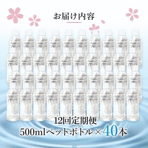 【桜屋】12回 定期便 シリカ天然水 サクラシリカ 500ml 40本 12回 計480本 定期便 シリカ含有量99mg/L シリカ水 ラベルレス 水 ミネラルウォーター 飲料水 飲料 ペットボトル ナチュラルウォーター サルフェート 炭酸水素イオン ミネラル 国産 阿蘇 小国郷