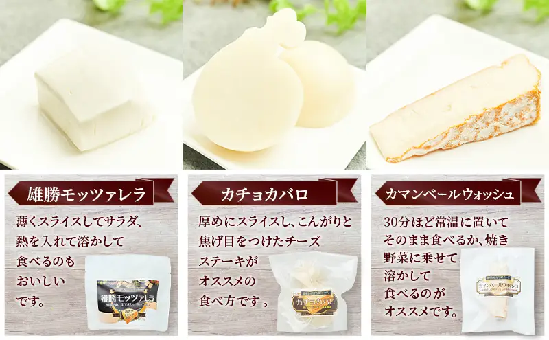 秋田 羽後 チーズアソート5種9個/フレッシュセット［明通りチーズ工房］モッツァレラ・カチョカバロ・スカモルツァ2種・カマンベールウォッシュ【 チーズ アソート 詰合せ セット バラエティ 乳製品 ワイン 麦酒 ビール 酒  食べ比べ 受賞 】