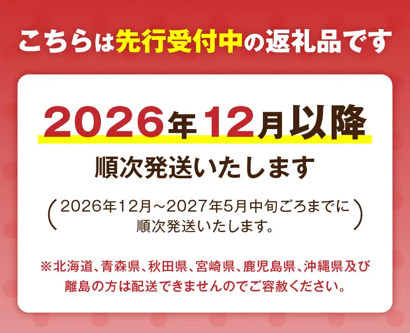 【12月以降順次発送】まるで赤いサファイア!!丹精込めた完熟いちご!! 約1350g H130-011