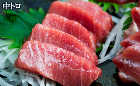 本マグロ（赤身・中トロ）セット 本部町産 約380g～450g マグロ