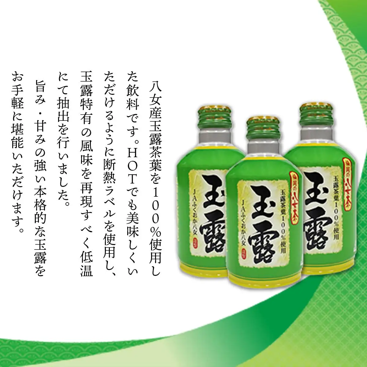 福岡の八女茶 玉露ボトル缶(290g)×24缶 CZ002 