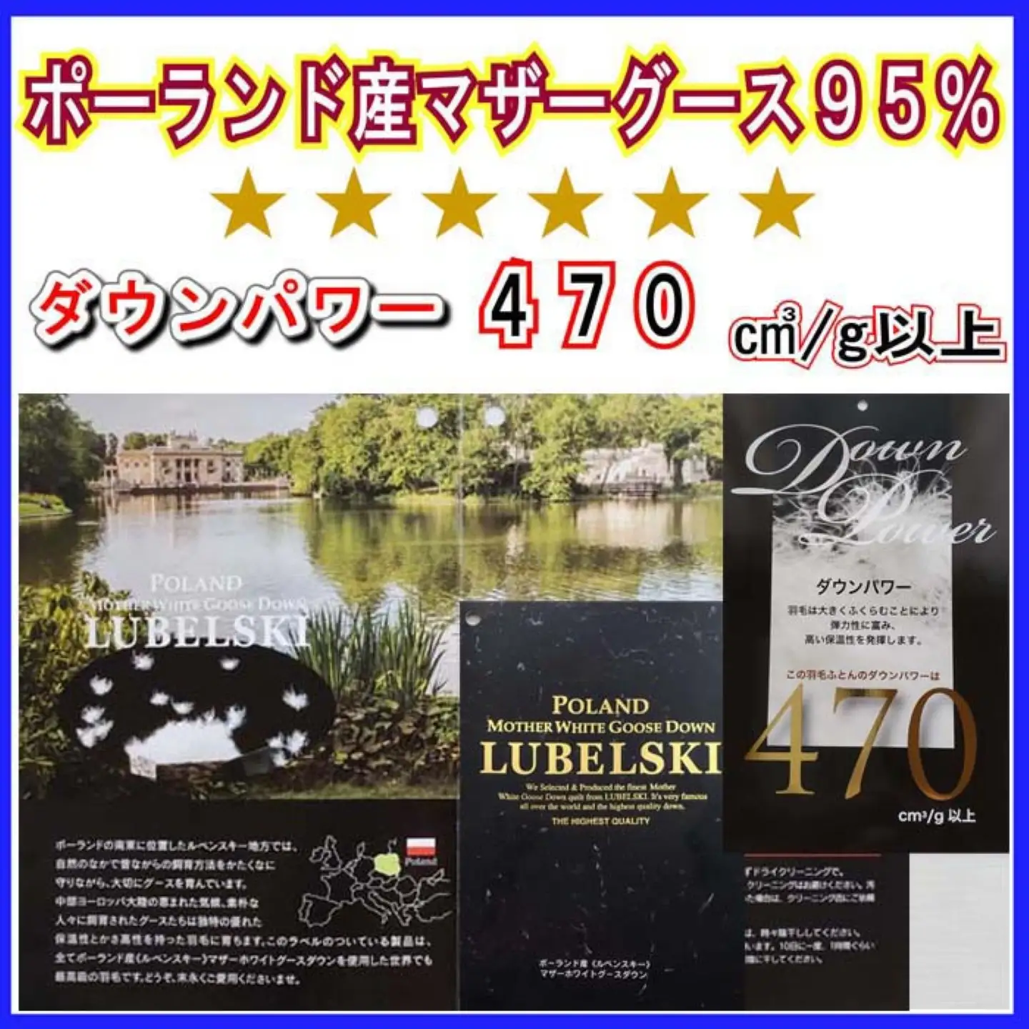 羽毛布団 セミダブル ポーランド産マザーグース95％ 【120番手】 ダウンパワー470 掛け羽毛布団 CK311