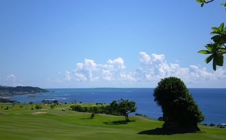 【ザ・サザンリンクスリゾート】 ゴルフ利用クーポン30.000円分 - 旅行 沖縄旅行 リゾートゴルフ 利用券 ゴルフ場利用券 リゾート クーポン券 沖縄県 八重瀬町