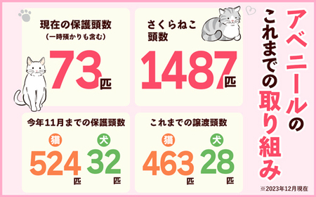 【南の島の動物愛護活動】保護猫活動等をサポート（5万円）- ねこ ネコ 地域猫 保護活動 支援 応援 さくらねこ 動物愛護 保護 里親 寄附のみ 沖縄県 八重瀬町