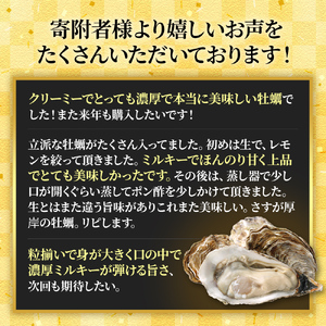 北の海のミルク！ 厚岸産 牡蠣 3Lサイズが50個！ 生食用 生牡蠣 貝付き牡蠣 貝 海鮮 魚介類 殻付き牡蠣 マルえもん メルマガ掲載商品3 
