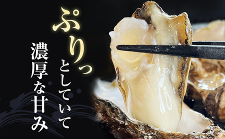 厚岸町 新ブランド 『 弁天かき 』 Lサイズ 15個  北海道 牡蠣 カキ かき 生食 生食用 生牡蠣 魚介類 魚貝類 