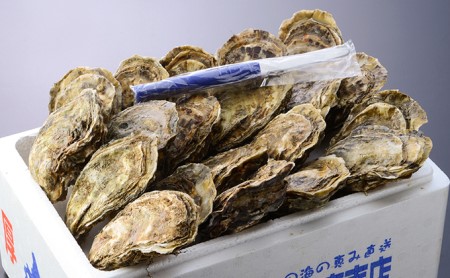 厚岸産 殻かき L 20個セット 北海道 牡蠣 カキ かき 生食  魚介類 マルえもん
