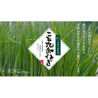 【こと京都】九条ねぎカット食べ比べセット(鍋仕様)