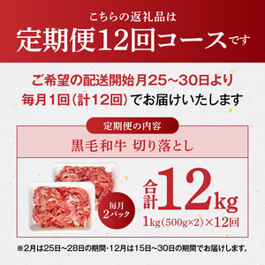 S001-001-T12A_【定期便12回】A4～A5等級 黒毛和牛 切り落とし1kg（500g×2P）12か月連続お届け / 【定期便】 12回 ミシュランビブグルマン 獲得 切り落とし 500g × 2パック A4 〜 A5等級 特選 毎月届く 肉 牛肉 和牛 国産 サシ 霜降り 黒毛和種 炒め物 牛丼 肉じゃが 肉うどん 熊本県 天草市 お取り寄せ グルメ 送料無料