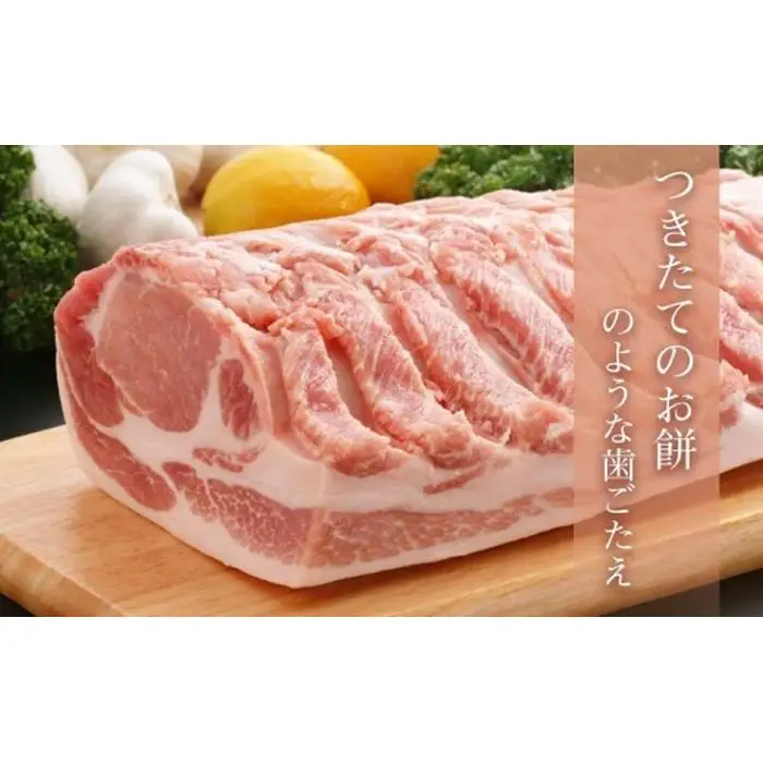 越後もちぶたしゃぶしゃぶセット