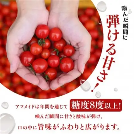 【2kg】ミニトマト 糖度8以上 アマメイド 　リピーター続出の人気野菜【1502584】