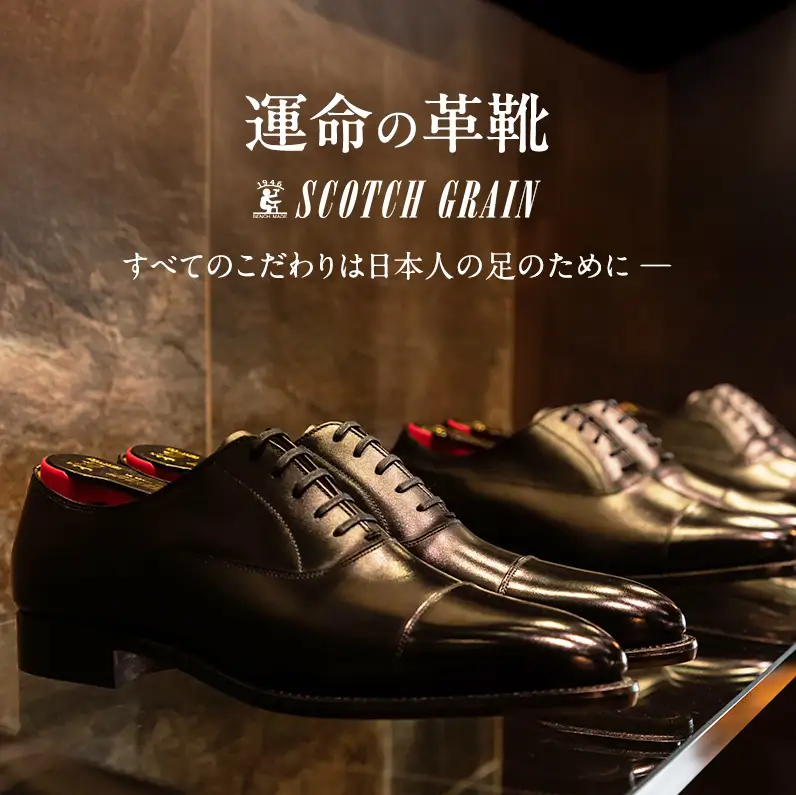 スコッチグレイン ビジネスシューズ メンズ オデッサ 916 ストレートチップ 革靴 本革 日本製 E 送料無料 父の日 ギフト 26.5cm